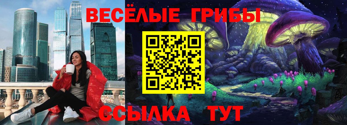Галлюциногенные грибы мицелий Дубна