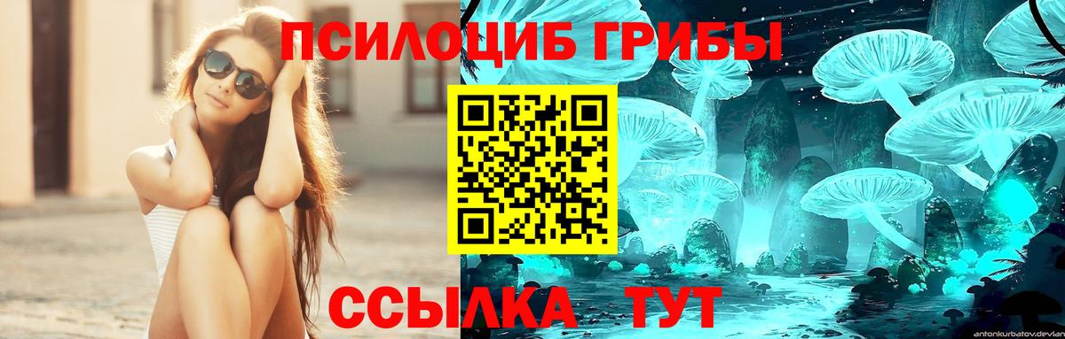 Дубна  Галлюциногенные грибы мухоморы  Вход с VPN 